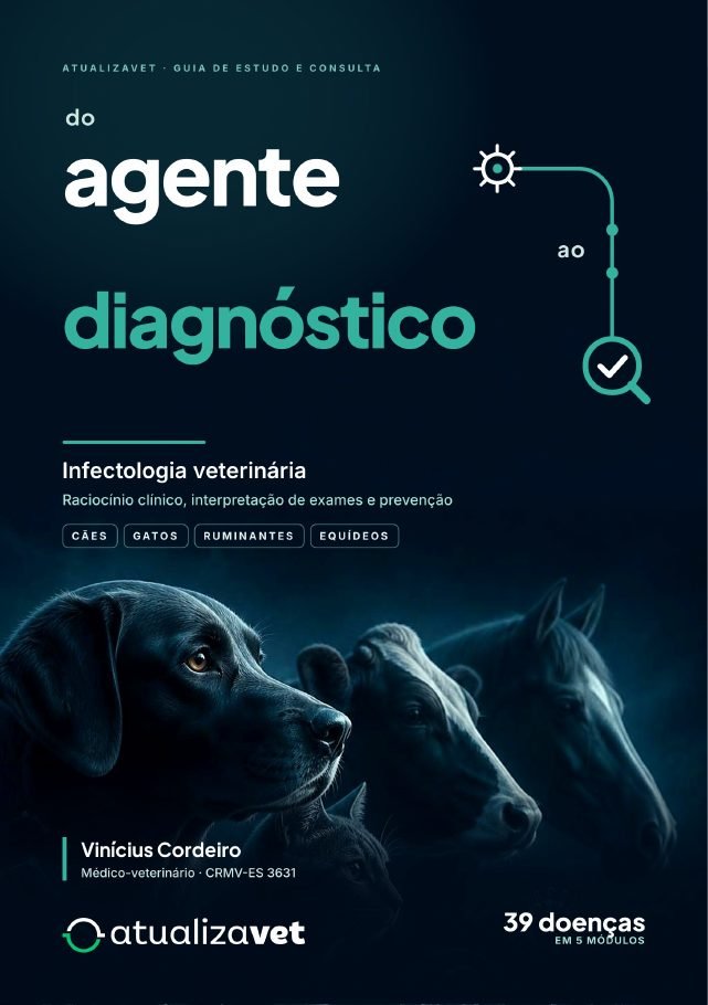 Capa: Do Agente ao Diagnóstico